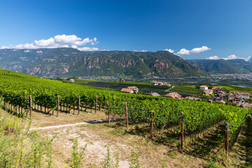 Fototapeta na wymiar Landscape in the municipality of Eppan in South Tyrol, Italy