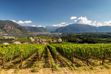 Fototapeta na wymiar Landscape in the municipality of Eppan in South Tyrol, Italy