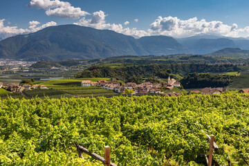 Fototapeta na wymiar Landscape in the municipality of Eppan in South Tyrol, Italy