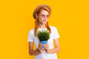 Woman planting flowers in pot. Gardening, flower planting concept. Woman or gardener planting flower pot.