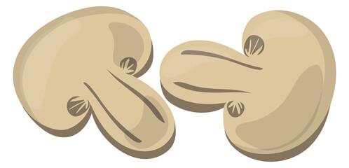 Mushrooms cutted and sliced cartoon icon. Tasty cooking ingredients