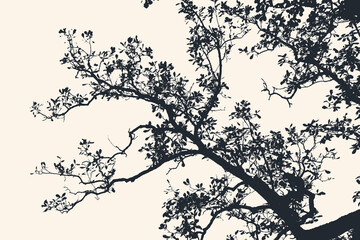 Oak tree and branches silhouette. detailed vector illustration