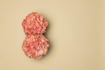 Carnation in the form of the number eight on a beige background. The concept of International Women's Day.