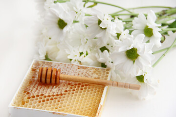 honeycombs. honey with honeycomb close-up. honey in honeycombs on a board with a wooden spoon for honey.
