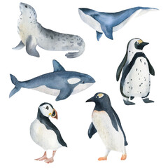 Watercolor sea animals, dolphin, penguin, whale