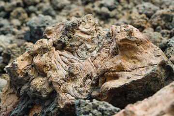 Detail of the volcanic rock by the sea in Lanzarote