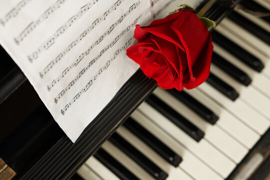 Beautiful rose and musical notes on piano, above view