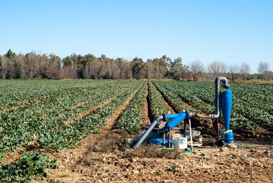 Campo de cultivo con bomba de riego.