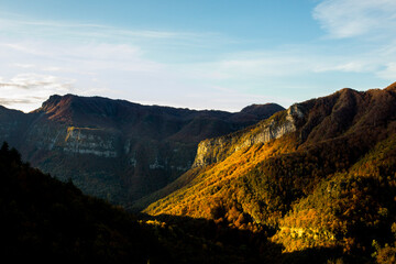Fototapeta premium Autumn forest in Puigsacalm peak, La Garrotxa, Spain