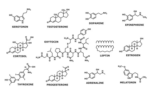 Hormone formula. Medicine, chemistry and biochemistry science research line symbols, human man and woman hormones formulas. Oxytocin and leptin, thyroxine, progesterone and adrenaline atom structure