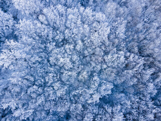 Scene of the snowfall in Bracons, La Garrotxa, Girona, Spain