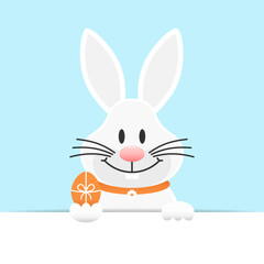 Einzelner Weißer Osterhase Mit Osterei Banner Horizontal Himmel