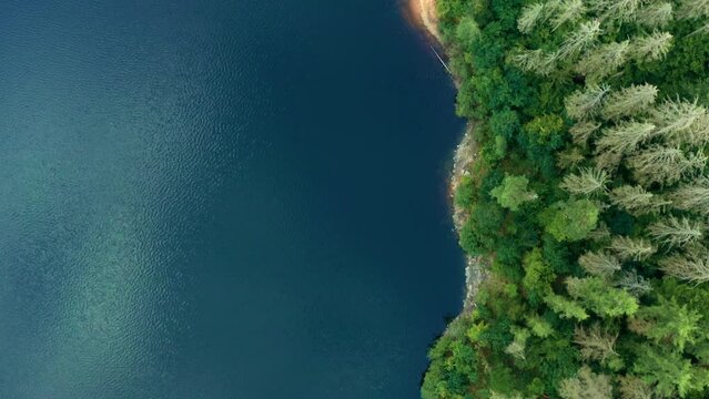 Flying over the riverside with high trees and sailing boat on the river.