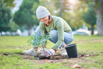 Nature, plant and woman gardening in a park for sustainable, agriculture or eco friendly garden....