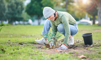 Plant, nature and eco friendly woman gardening in a park for sustainable or agriculture garden....