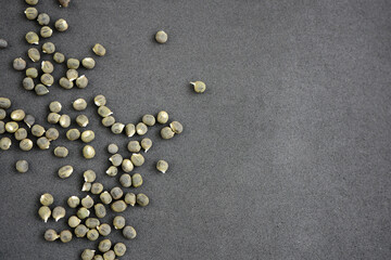 Fototapeta na wymiar okra seed grains,okra seed,okra seeds close-up in dried okra plant