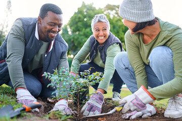 Community service, volunteering and people plant trees in park, garden and nature for sustainable...
