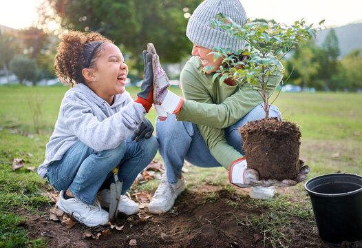 High five, child and woman with plant for gardening at park with trees in nature garden environment. Happy volunteer family planting for growth, ecology and sustainability for community on Earth day