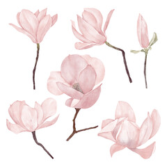 Magnolia Pink Flowers. Birthday and Wedding Floral Decor, Invitation Card