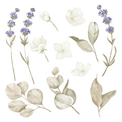 Eucalyptus Leaves and Magnolia Leaves. Jasmine And Lavender Flowers. Birthday and Wedding Floral Decor, Invitation Card
