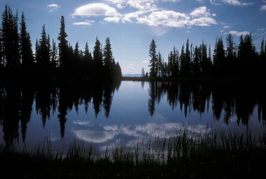 Colorado Rockies