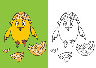 Coloring childish page. Linear monochorme and colored version of illustration. Illustration for coloring book. Cute chick with eggs for children book. Easter illustration.