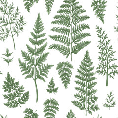 Naklejka na ściany i meble Pattern herbs and flowers painted color line. Vector drawing. Wild herbs. Wildflower