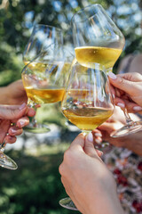 Fototapeta Making a celebratory toast with sparkling wine. Female hands holding glasses of champagne. Birthday, holiday, party and friendship concept. obraz