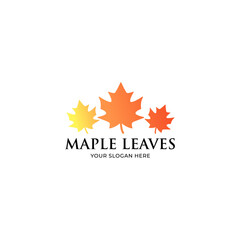 Maple leaves logo isolated on white background