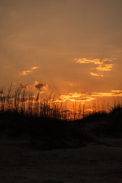 seaoats and sand dunes on the beach at sunset © christy