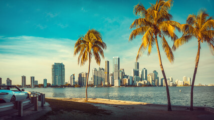 the skyline of miami with palm trees, florida - 566568720