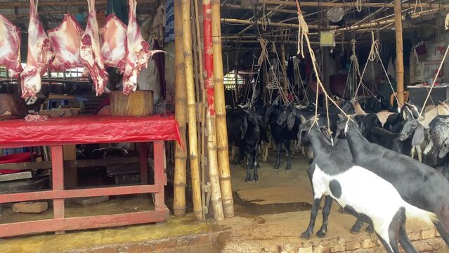 Butcher cutting meat next to tied up goats in barn, animal cruelty