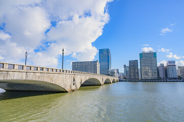 Fototapeta na wymiar 新潟　冬晴れの信濃川と萬代橋