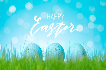 Decorated Easter blue eggs in grass. Concept of Easter egg hunt. Background, web banner or flyer with Happy Easter lettering