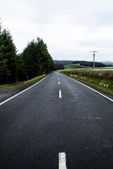 Fototapeta premium snowy road