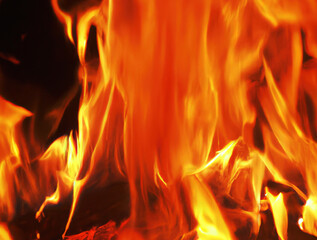 Fototapeta premium Close up of burning bonfire with branches and orange flames, created using generative ai technology