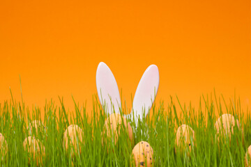 Bunny rabbit ears and bunch of eggs on green meadow and orange background. Template for web banner, party flyer or greeting card with copy space. Easter egg hunt.