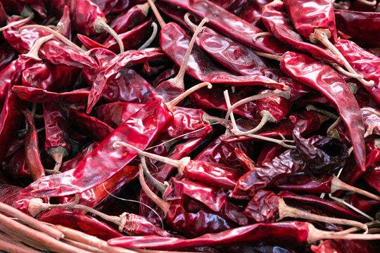 Hot Kashmiri red chilies textured background.