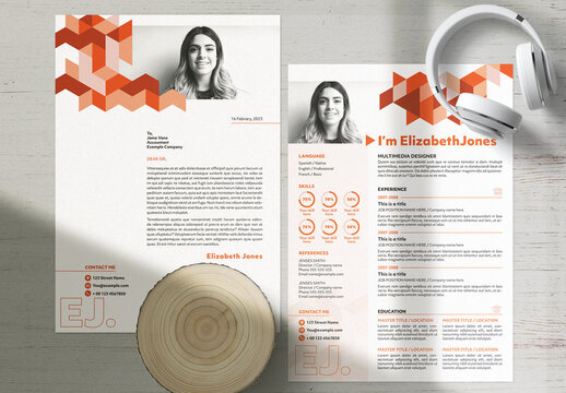Professional Curriculum Vitae Layout