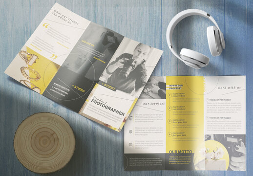 Trifold Brochure Data Analysis Layout