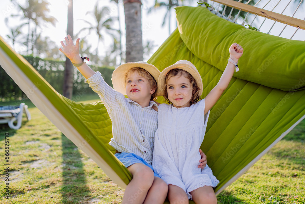 Wall mural Little friends enjoying holiday in exotic country, lying in hammock.