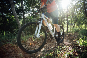 Fototapeta na wymiar Mountain biking in summer forest