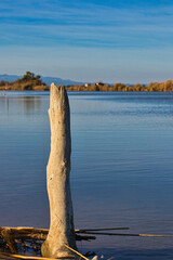 Pequeño lago junto a la playa 