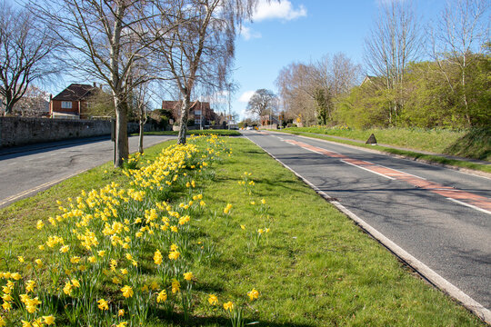 Springtime scenery around Crickhowell.
