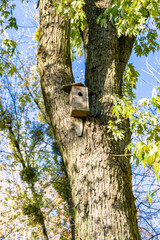 Photography on theme empty hanging birdhouse to natural forest tree