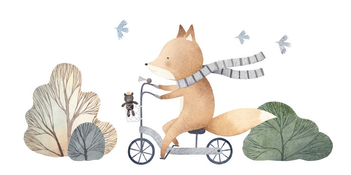 Cute fox on a bike in forest. Watercolor hand drawn illustration. White isolated background. Summer, autumn.
