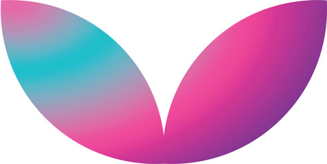 Holographic Shape Vector