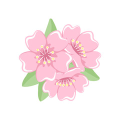 Cherry blossoms floral arrangement vector illustration