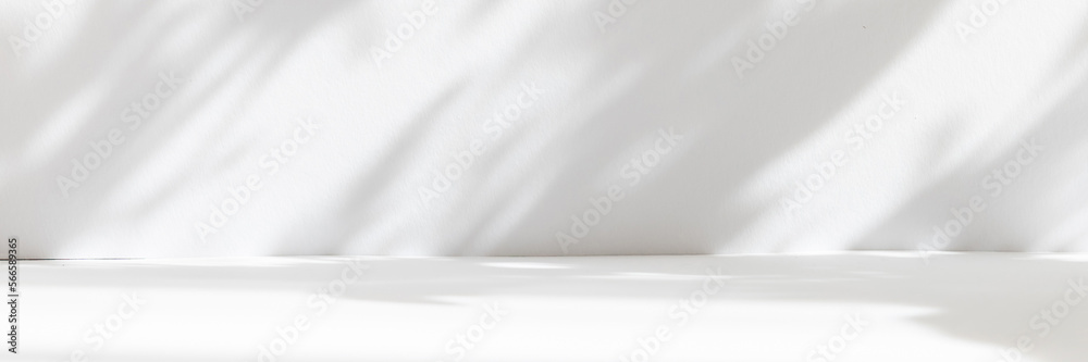 Poster Abstract white studio background for product presentation. Empty room with shadows of window and flowers and palm leaves . 3d room with copy space. Summer concert. Blurred backdrop. Banner