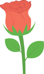 activity flower and blossom
